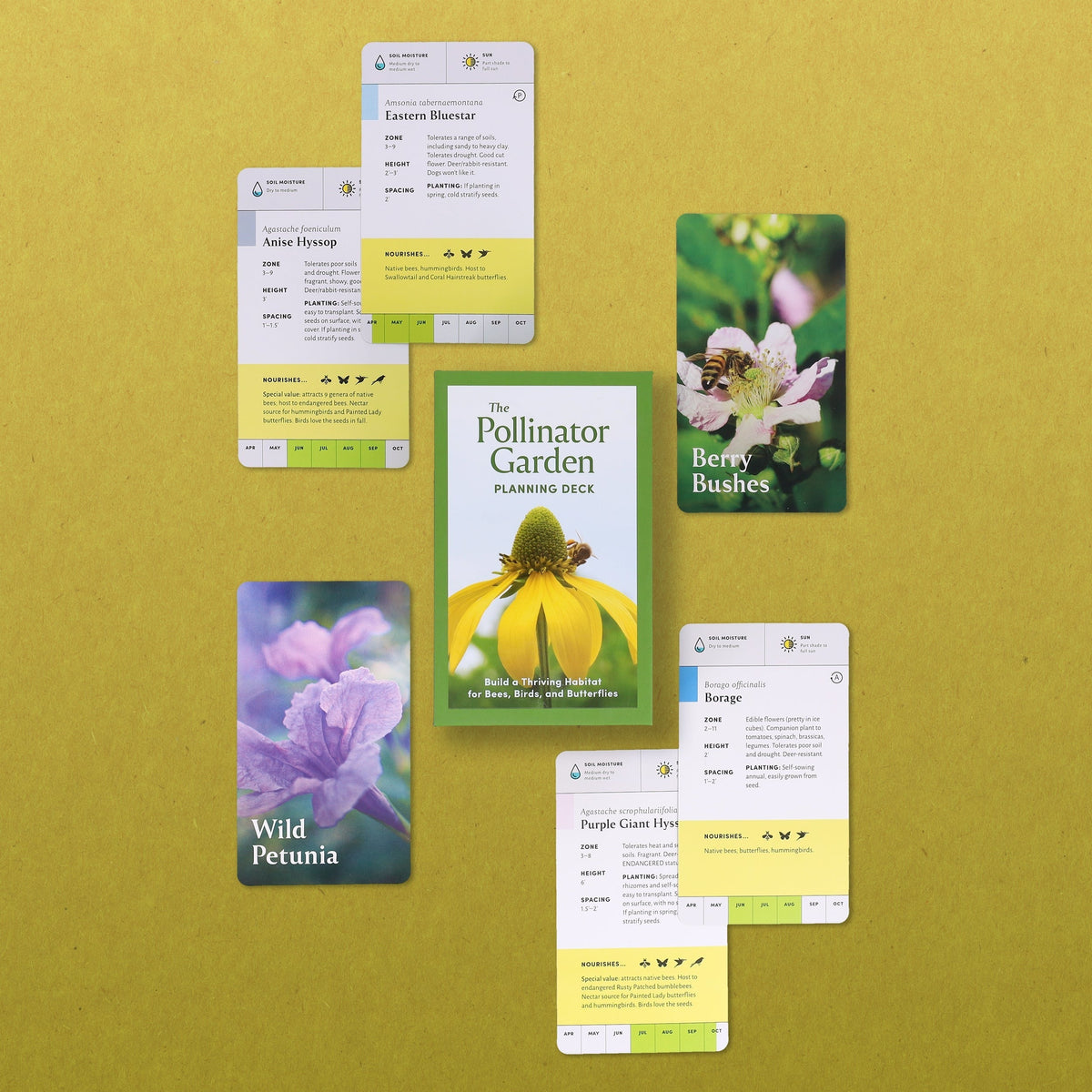 Pollinator Garden Planning Deck