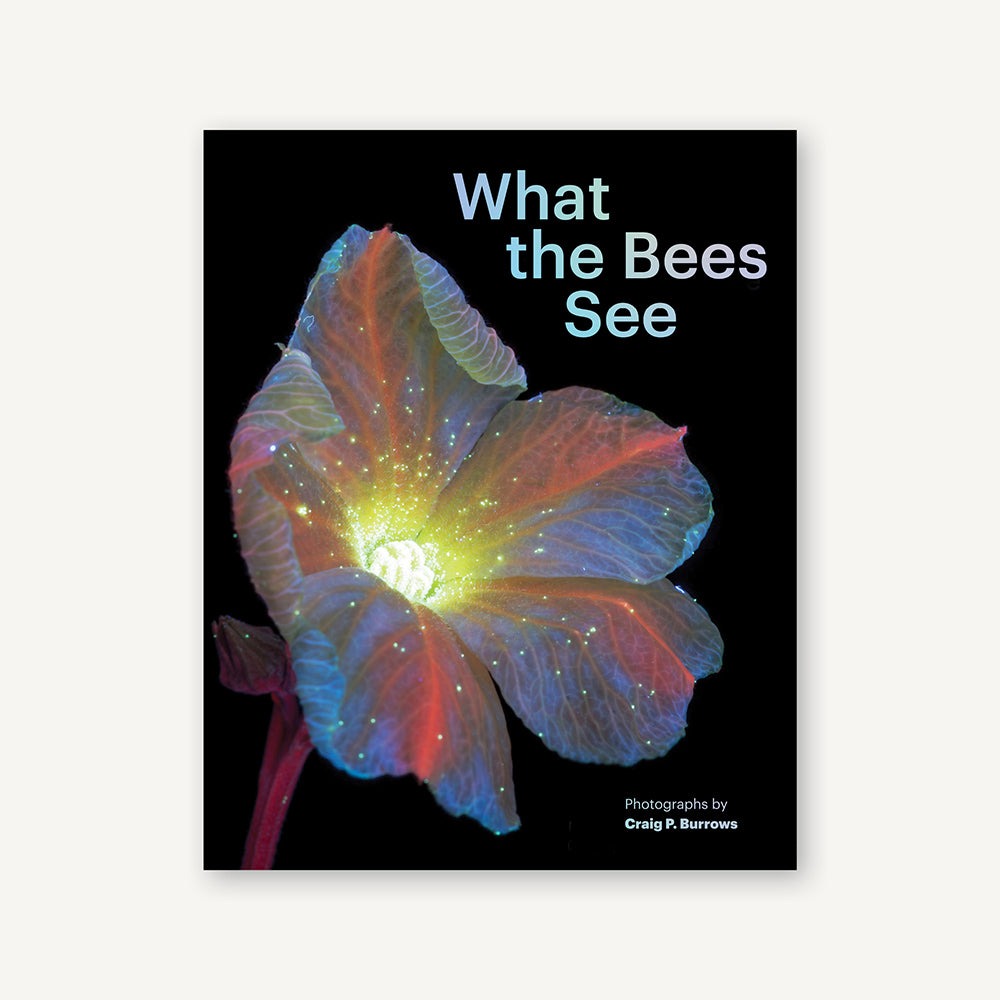 What the Bees See