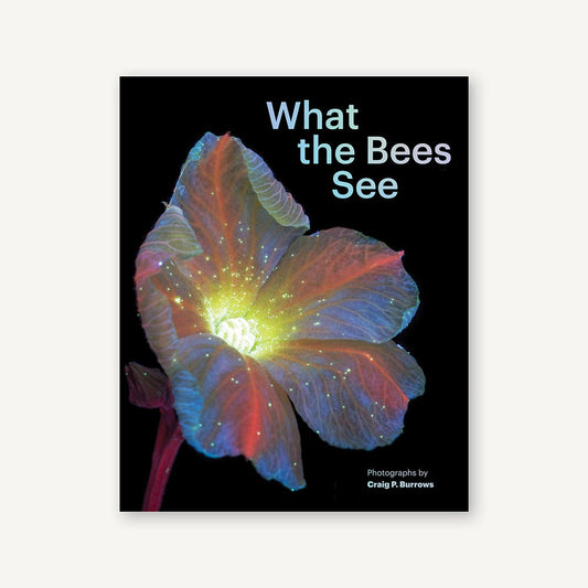 What the Bees See