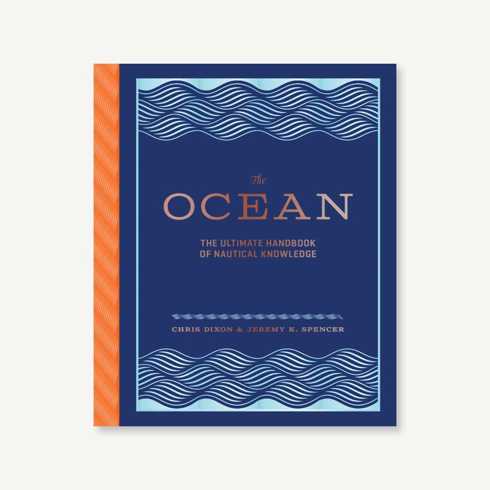 The Ocean