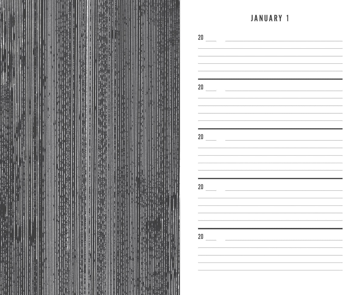Black Canvas One Line a Day