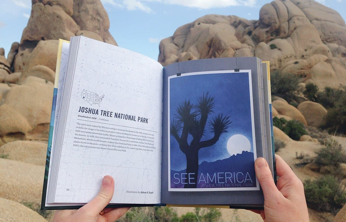 See America