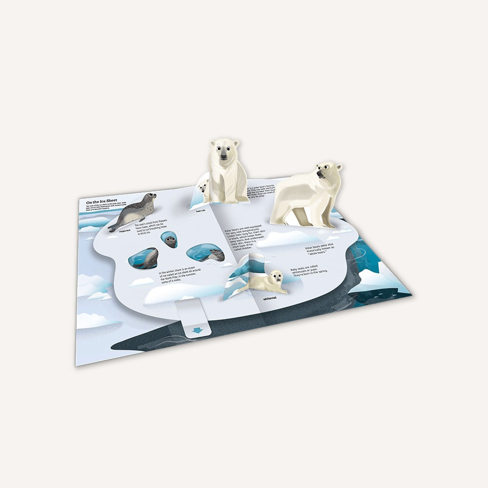 Ultimate Spotlight: Polar Animals