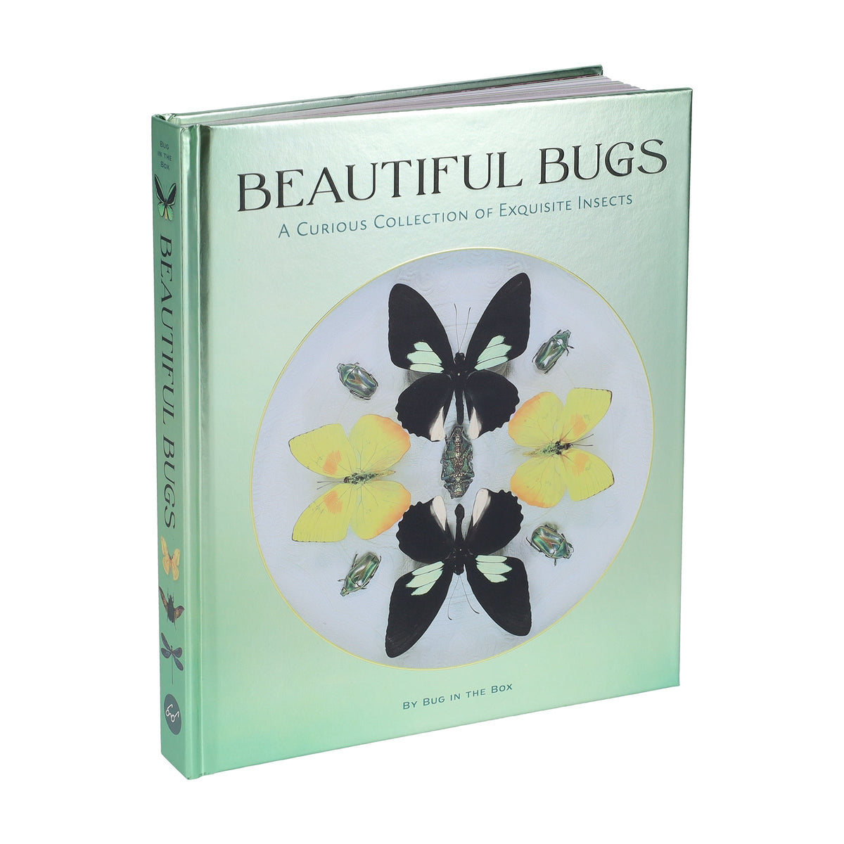 Beautiful Bugs