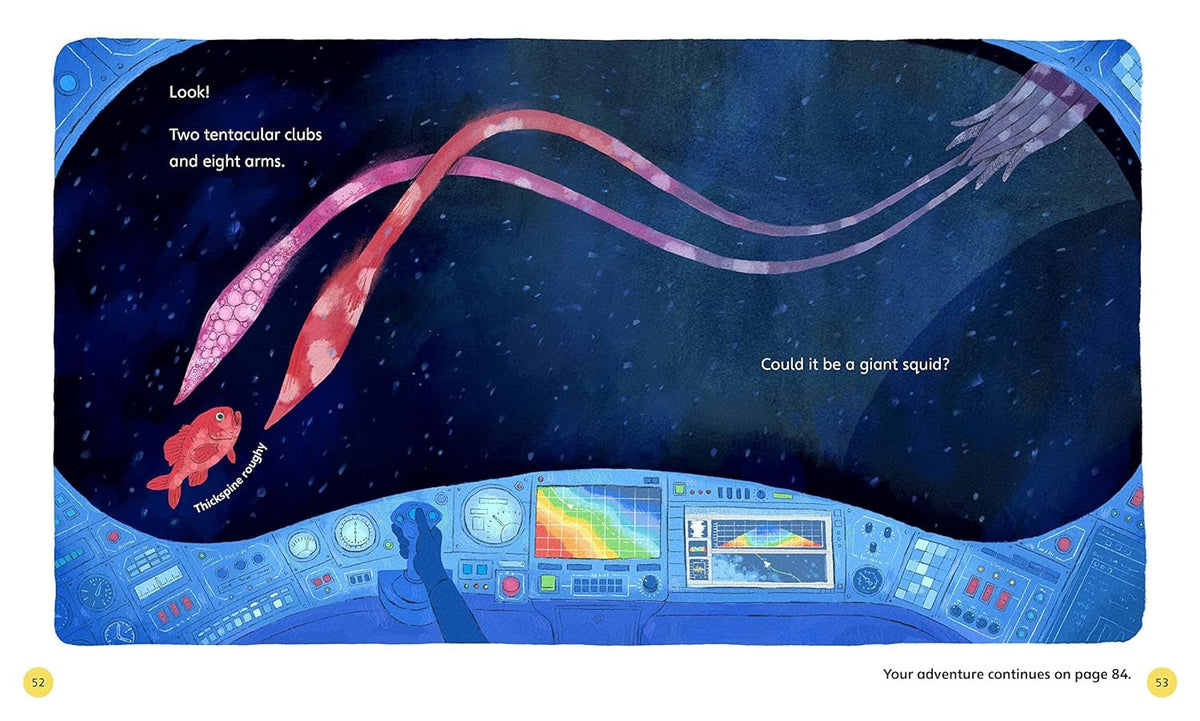 Search for a Giant Squid