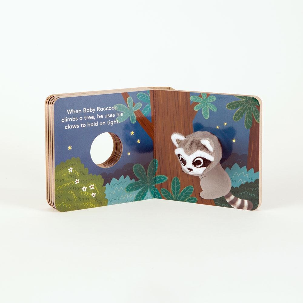 Baby Raccoon