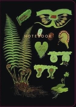 The Art of Instruction Notebook Collection