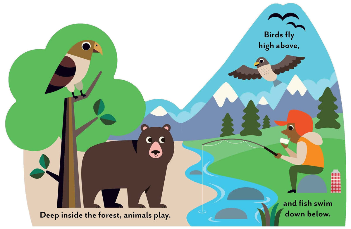 Bookscape Board Books: The Great Outdoors