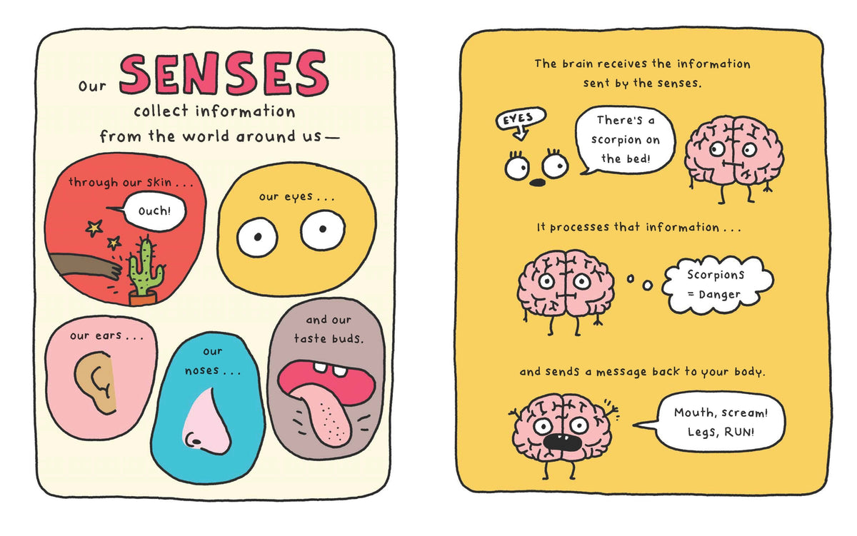 This Is My Brain!