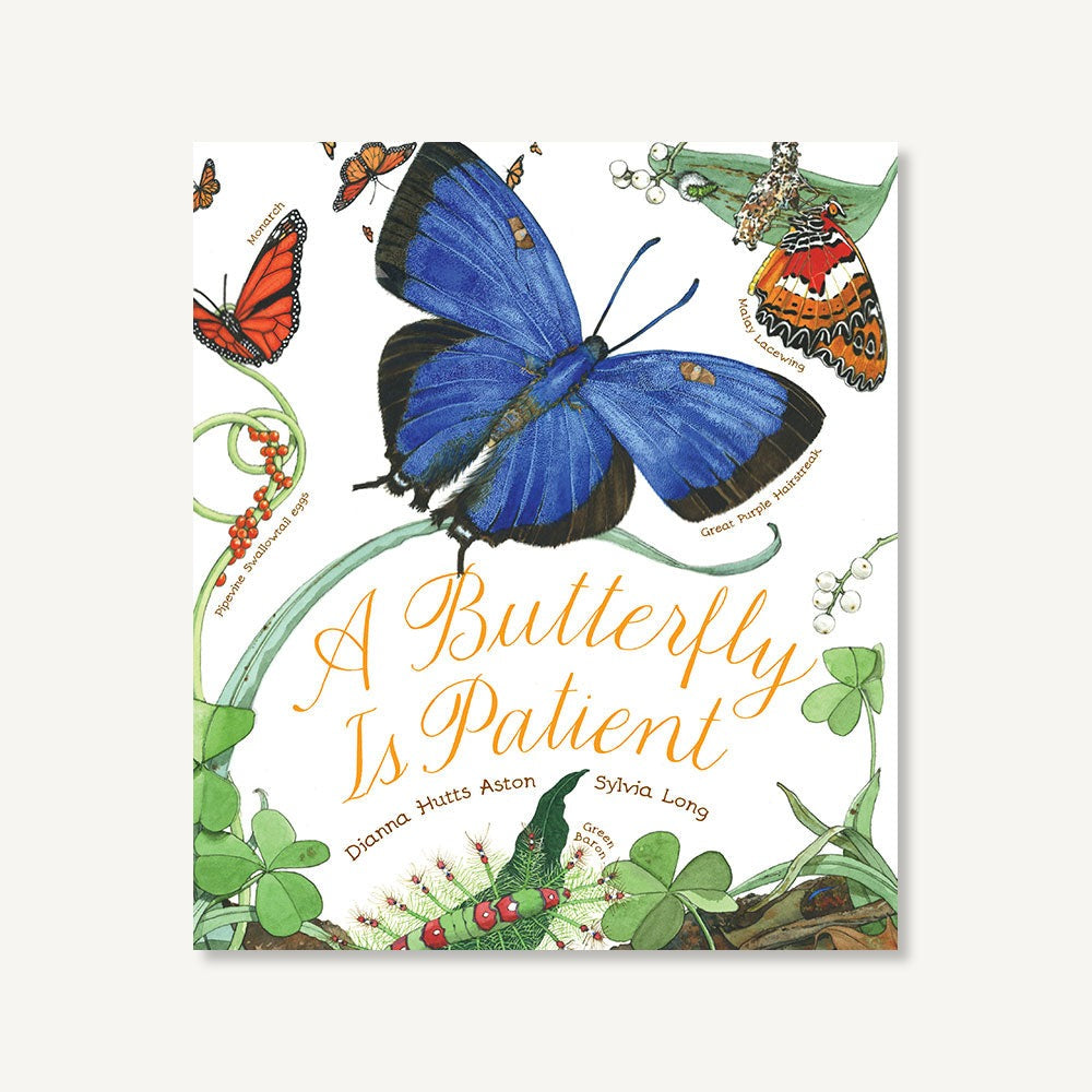 A Butterfly Is Patient