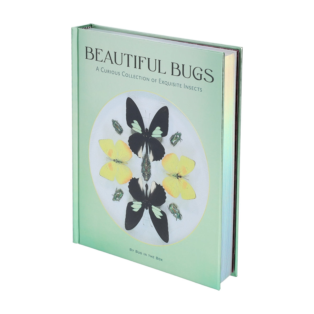 Beautiful Bugs