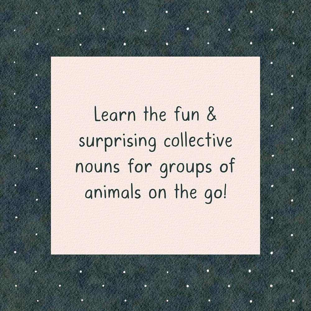 Sleuth of Bears and Other Amusing, Beguiling, and Peculiar Collective Nouns