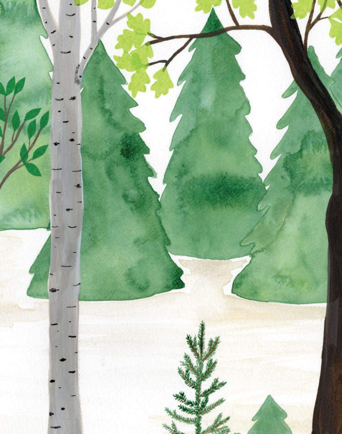 Forest