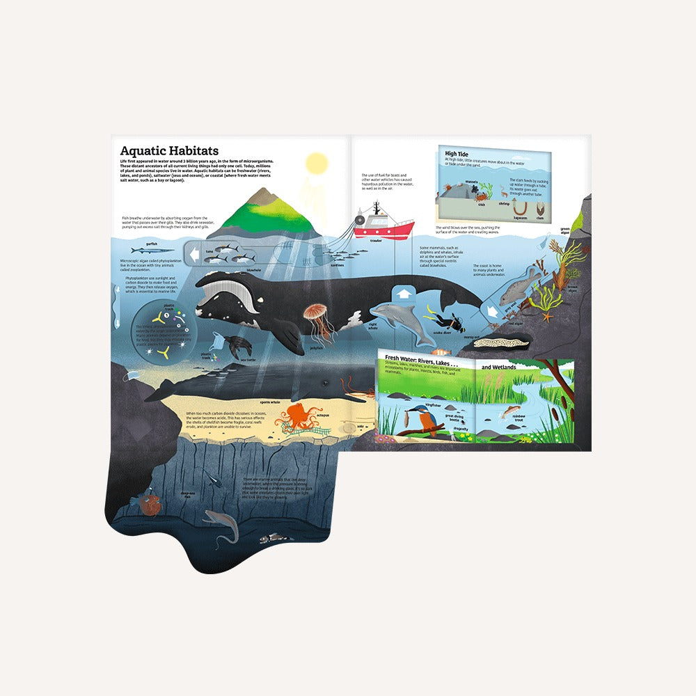The Ultimate Book of Water