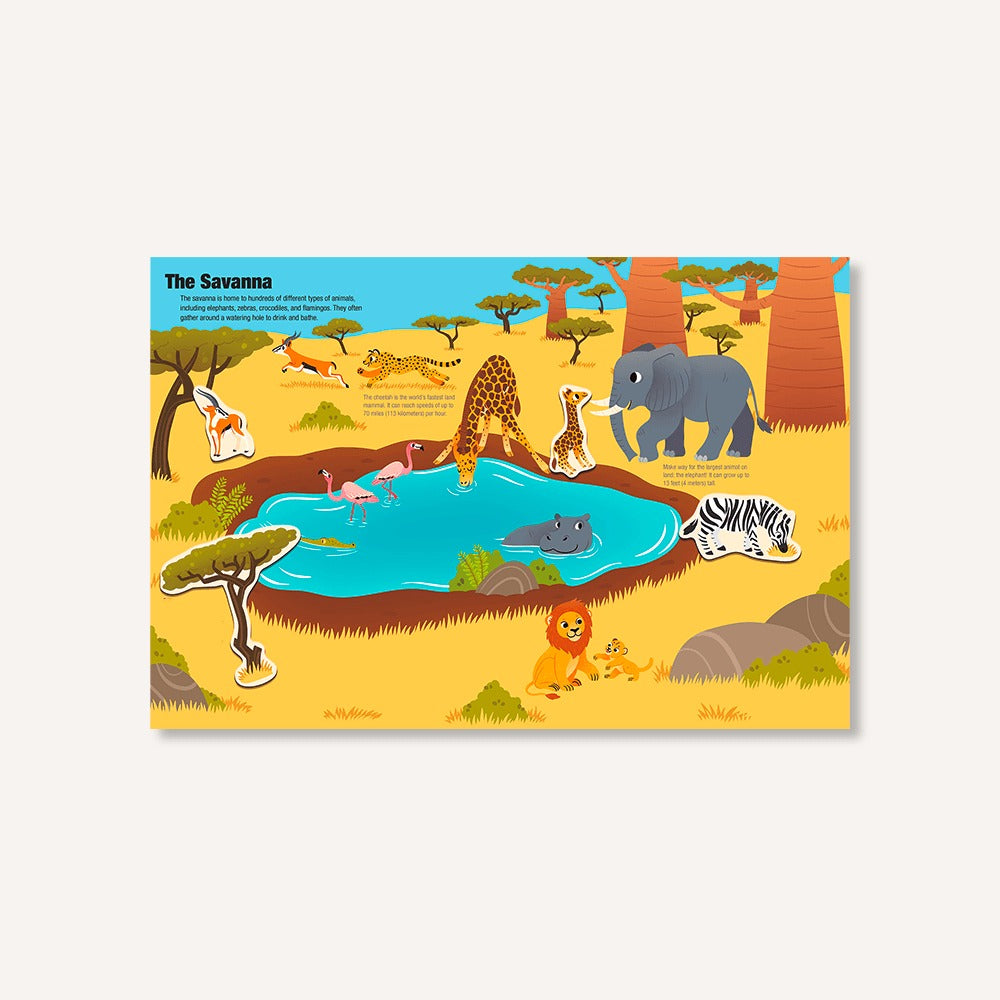 Magnetology: Animals