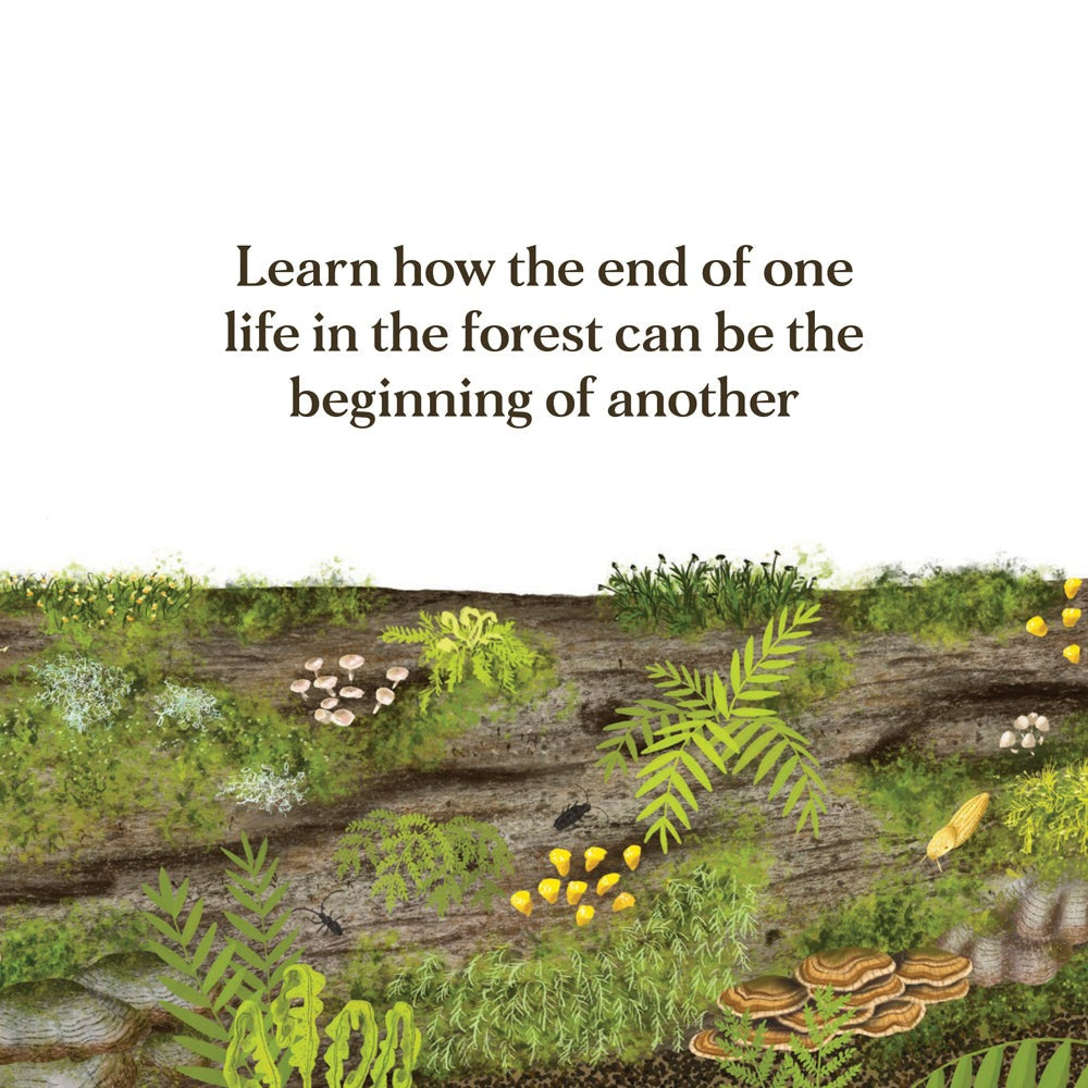 When a Tree Falls